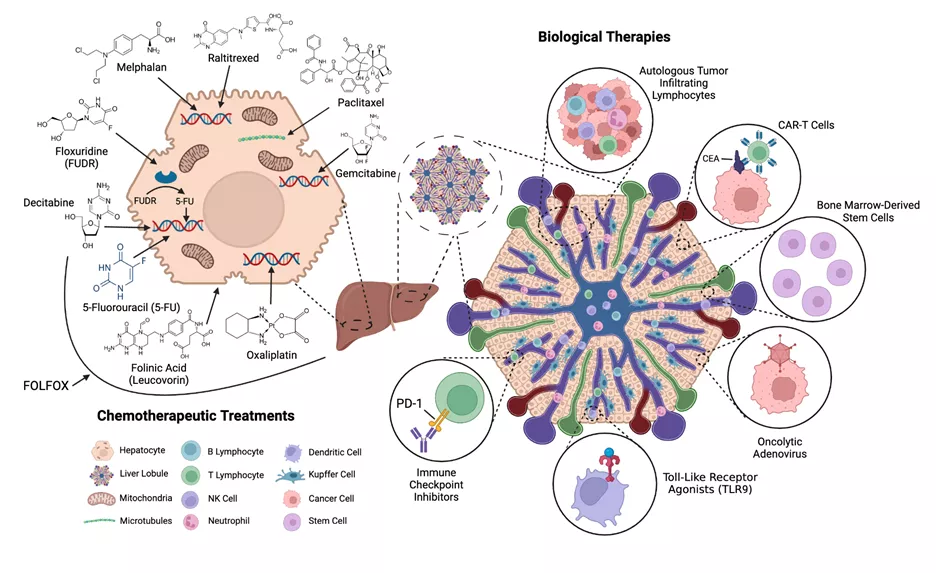 research chemotherapeutic treatment image